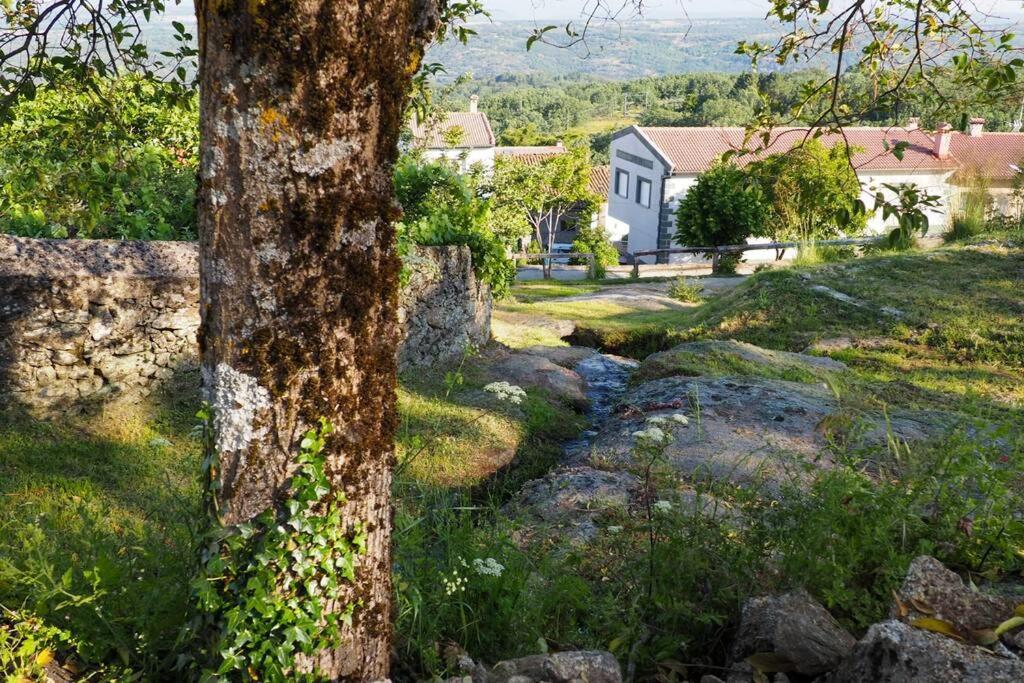 Ferienwohnung El Bosque De Los Romanos Puerto de Béjar Exterior foto