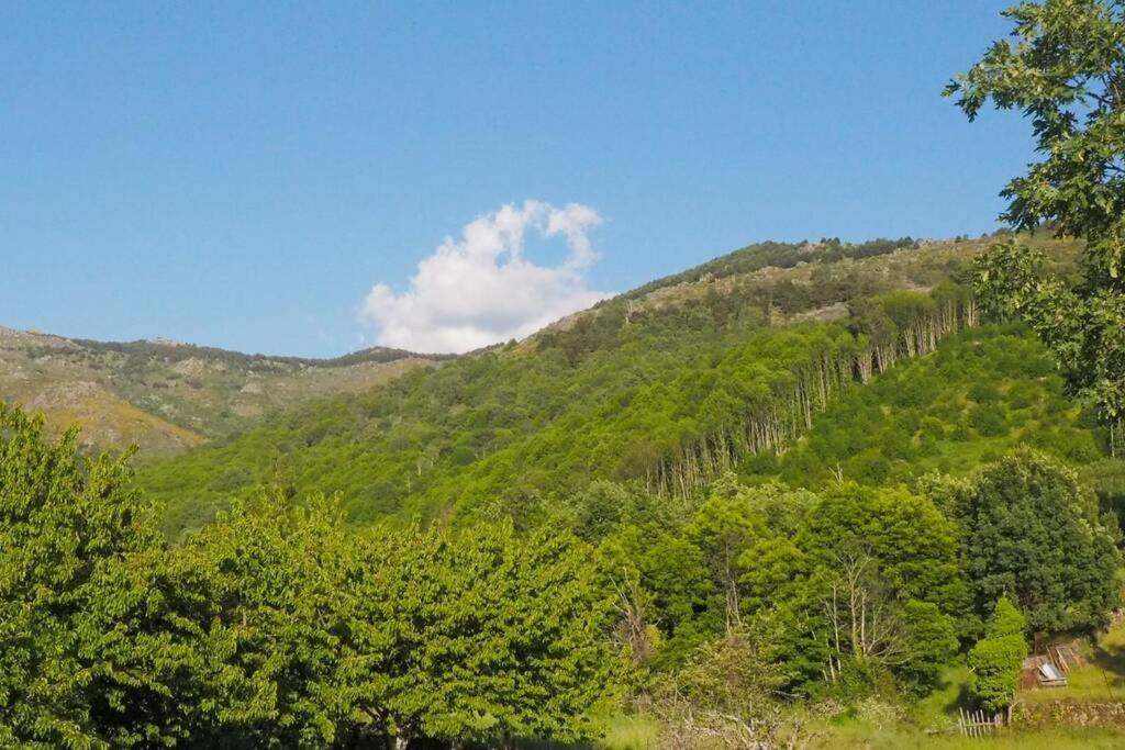 Ferienwohnung El Bosque De Los Romanos Puerto de Béjar Exterior foto