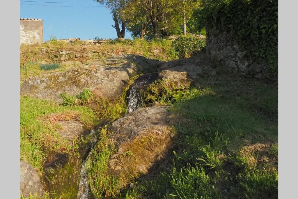 Ferienwohnung El Bosque De Los Romanos Puerto de Béjar Exterior foto